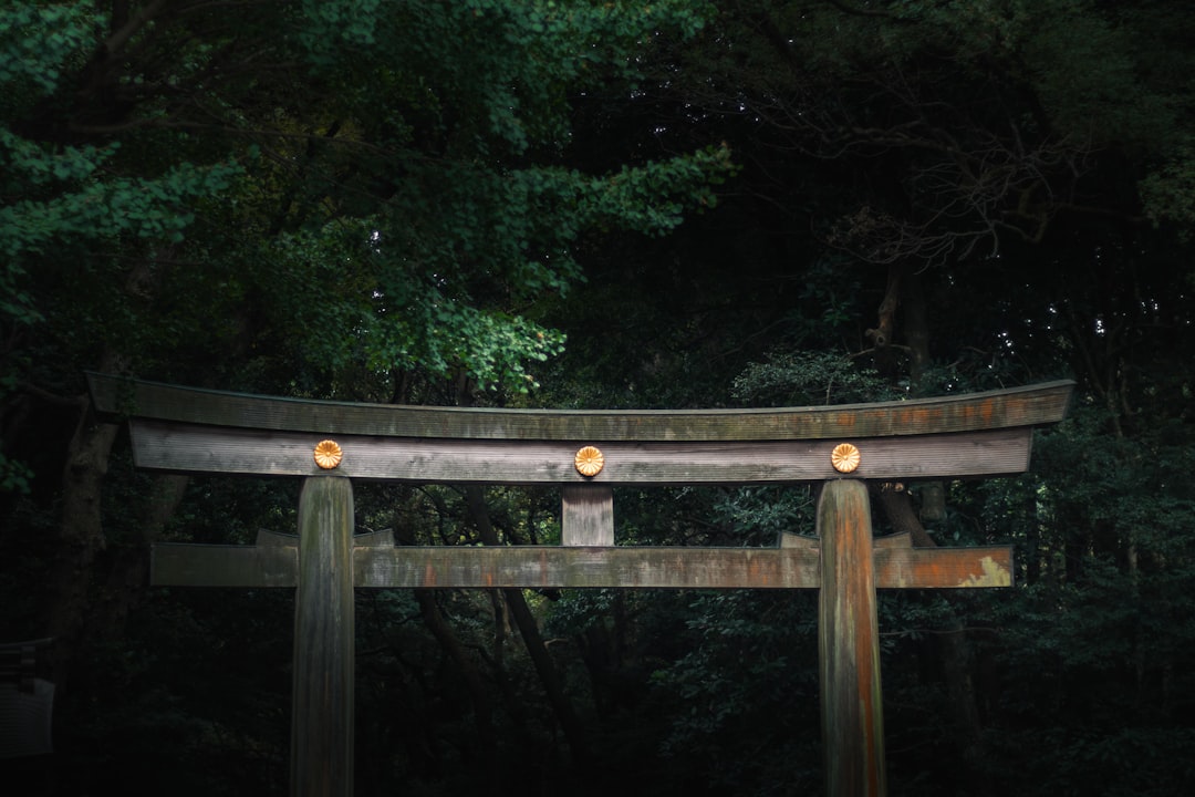 Forest path at Meiji Shrine