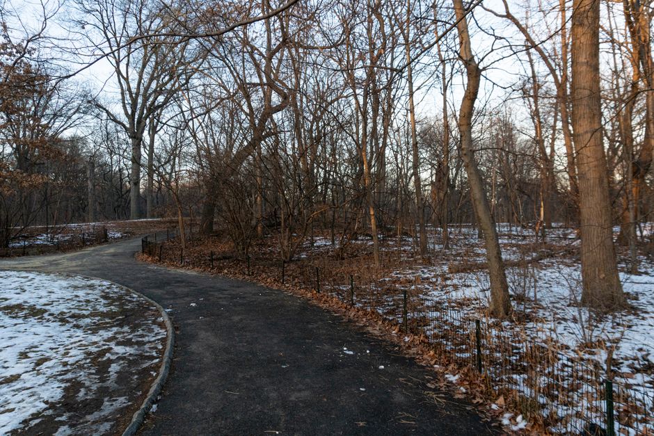 Inside Central Park