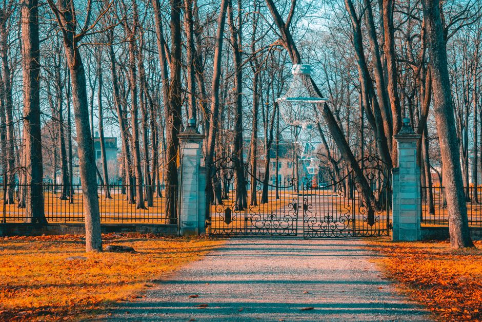 Getting to Central Park in New York