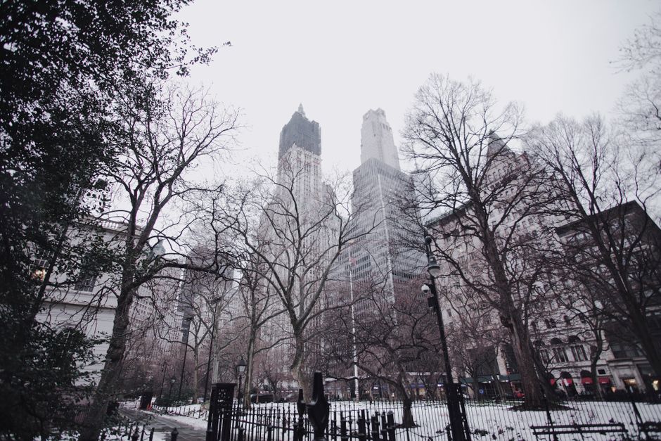 Planning a visit to Central Park