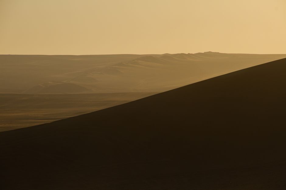Desert Safari at golden hour