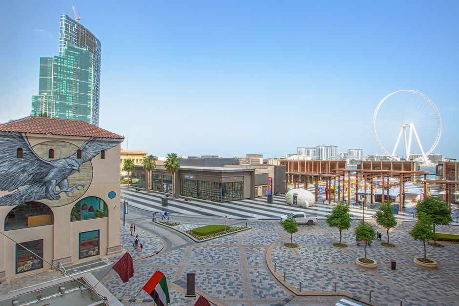 Planning a visit to Dubai Mall