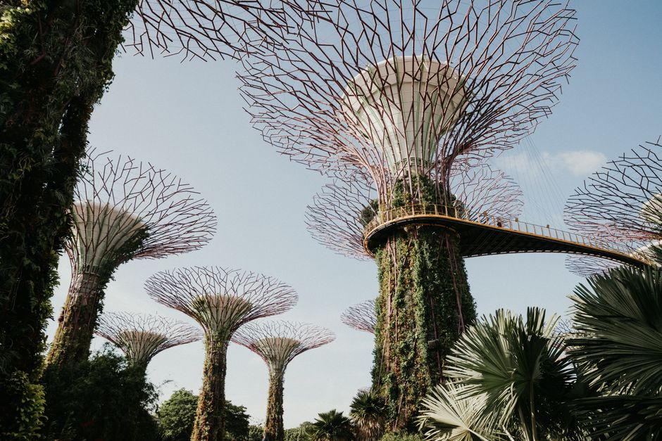 Getting to Gardens by the Bay in Singapore