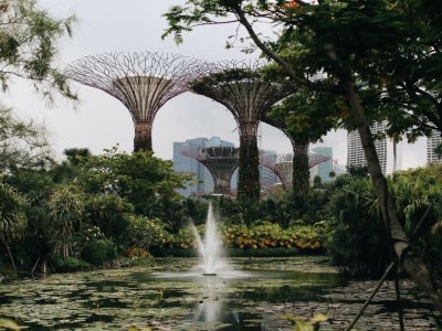 Gardens by the Bay
