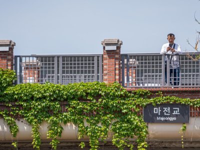 Hongdae