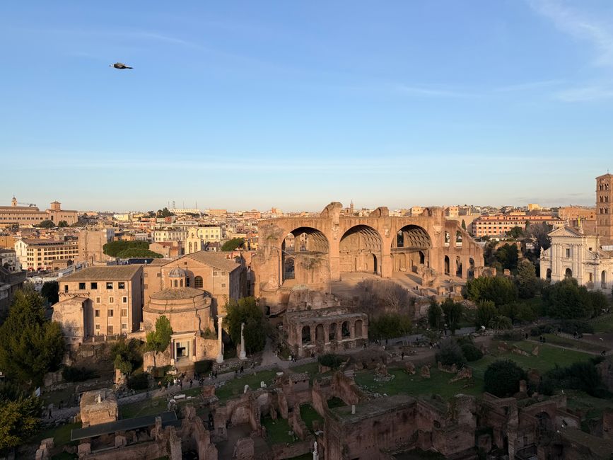 Roman Forum at golden hour