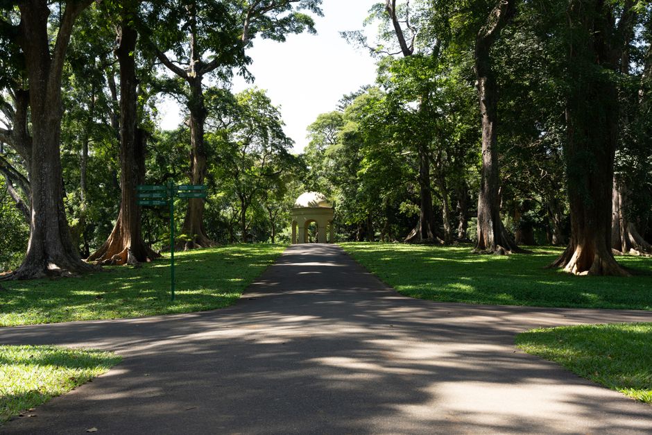Getting to Royal Botanic Garden in Sydney
