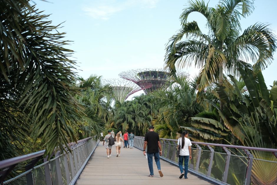 Inside Singapore Zoo