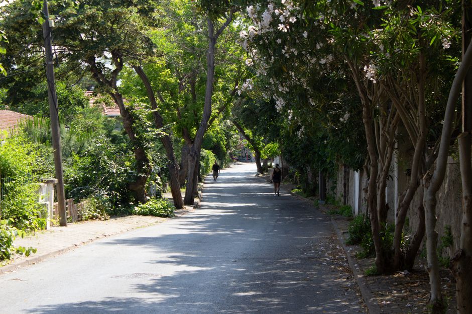 Getting to Taronga Zoo in Sydney