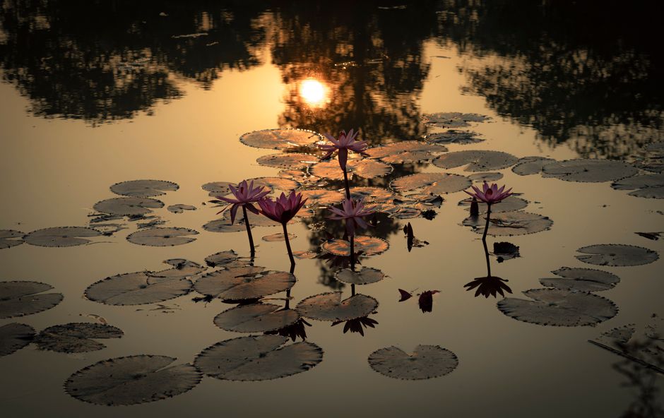 Thang Long Water Puppet Theatre at golden hour