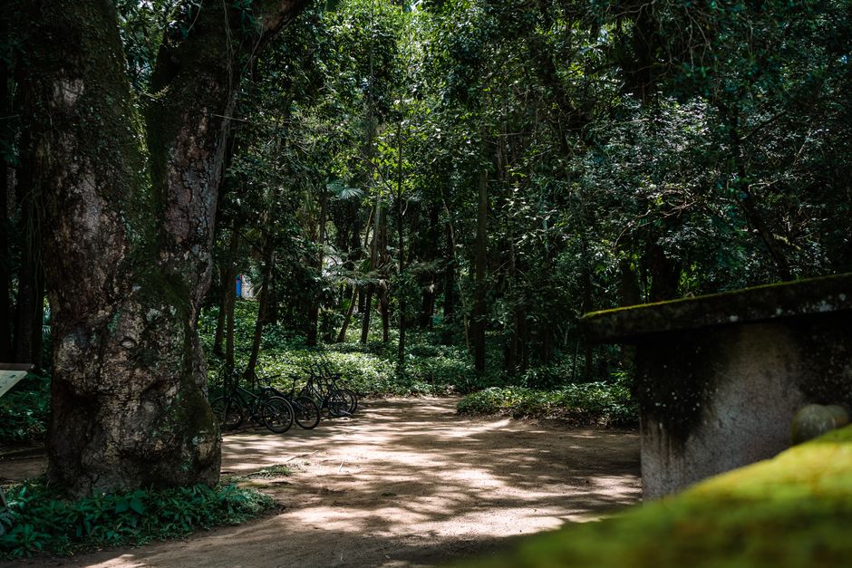 Getting to Tijuca National Park in Rio de Janeiro