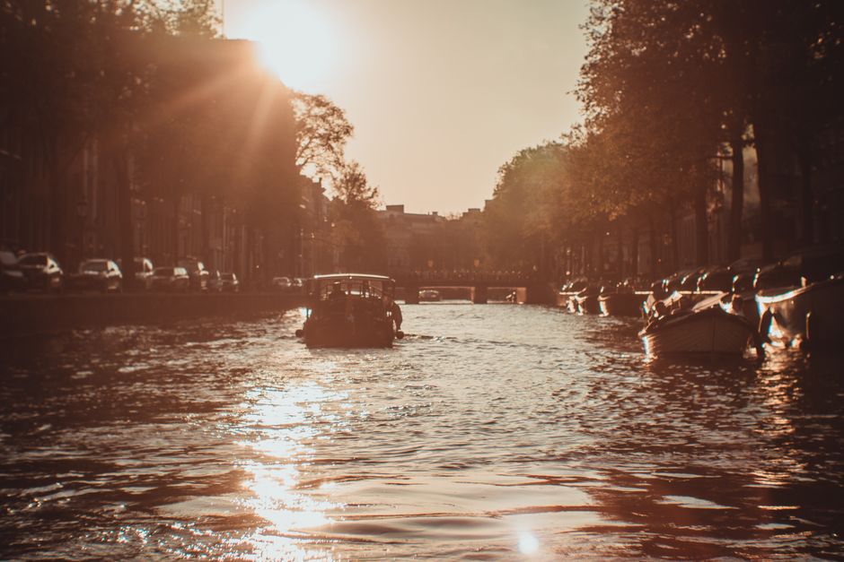 Vondelpark at golden hour