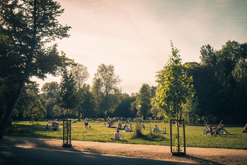 Getting to Vondelpark in Amsterdam
